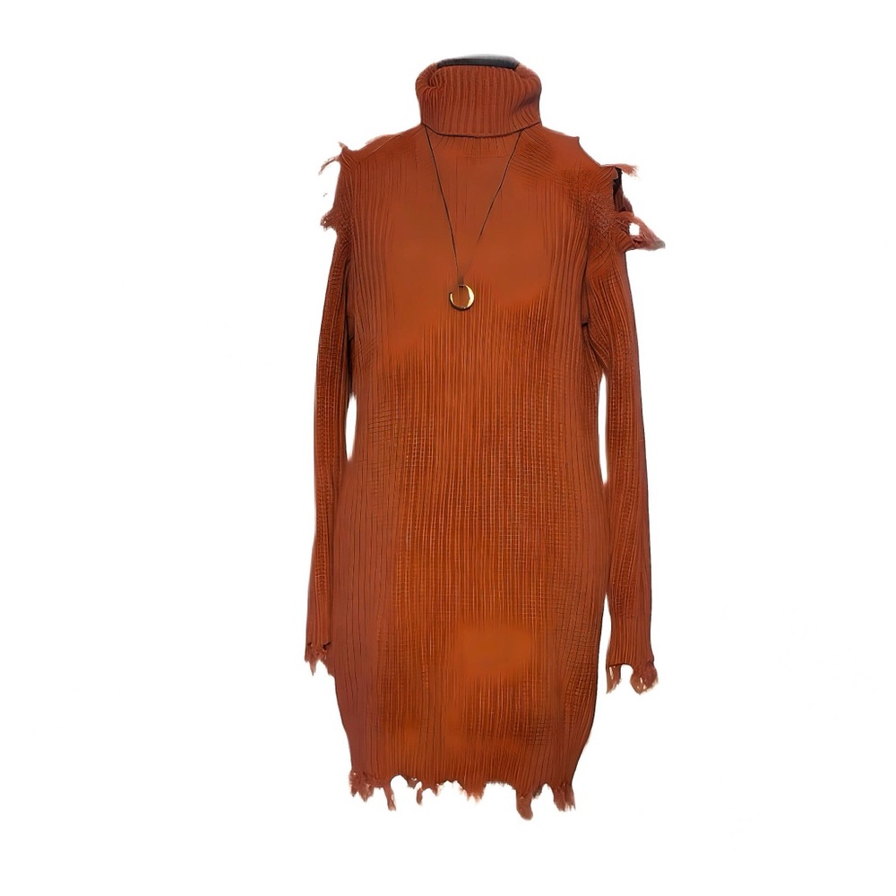 Almost Famous Burnt Orange Knit Sweater Dress